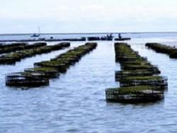 � ׸���� ���� ������� �������� �����