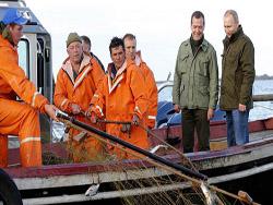 ����� �������� ������ ��������� ������ � �������