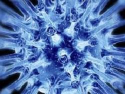 ����: �������� ������������� �� �������� �� �������