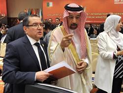 ���� ���������� �������