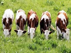 ��������� ������ �� ���������� ������