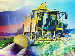 �������� ������ ���� � �����: ������ ��������� �������� ������������