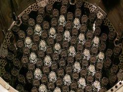 ��� ������ �� ����� ��� ��������: ������ ����� ����� ��� �������� ��������