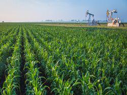 ������ ������ ������� � �������� ����