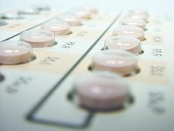 Funcy Bears ��������, ��� ����� 200 ����������� �� ��� ������������ ������