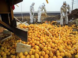 � ������������� ��������� ��������� ������ ������� �� ���� �������� ���������