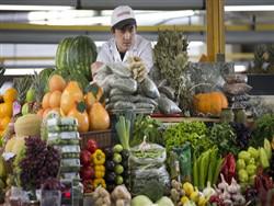 ���������� ����� ������ �� ����������