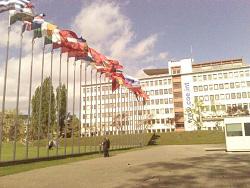 � ���� �� ����� ������ ������� ���� ����������� ������