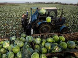 � �������� ������� ������ ������ ����������