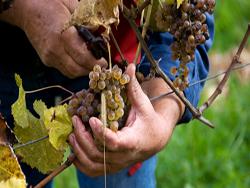 ���� � ����� � ��������� � ������� � �� ��������� ��� ������������ ����?