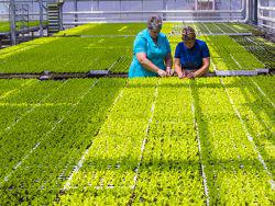 ������ �� ������ ������������ ����������� � �������