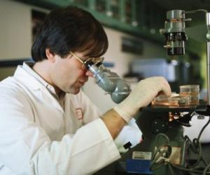 ����������� ������� �������� �������������� �������� ������� ������