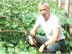 ������������: ����� �������� ������� ������� �� ��� � ��������