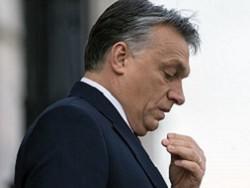 ������� ������� ������� ������ ������ �� �����������