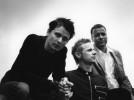  Muse    