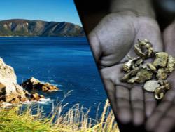 ������� ���� ������: ���������� ������� ��������� ��������� ���������