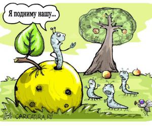 ������ ���� �������� � ����� �������.