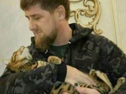 ������ ������� ��������� ����������� � ��������