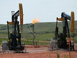 ���� �� ����� ����� ���� 47 �������� �� �������