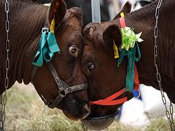 ������������� ��������� ��������� ���������������� �������� �������������