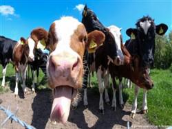 �������� �������� �������� ������� ������ ������ �������