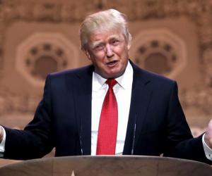 ������� �� �������� ��������: ���� ������� �����?