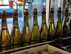 ���������� ����������� ��������� �����������