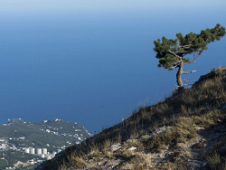 � ��� ������� ��������� ������� �� �����