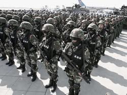 �� �������� ������� ��������������� ��������