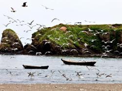 ������ � ������������ �����