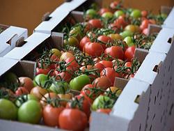 ���������� ������� ���������� �� �������� ������� ��� �� ���� ���