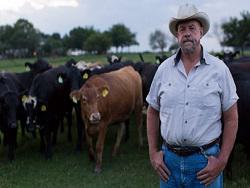 ��������� ���������� ��������� ������ �������������� 20 ��� ����