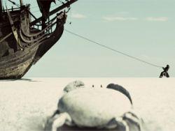 ������ ���� � �������