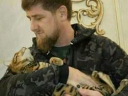 ��������� ��������������� ���������� � ��������