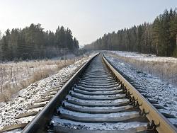 ��������������� ��������� � ����� ������� �������� 15 ������� �������� ����