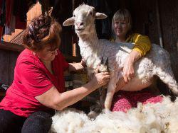 ���� ���� � ������� �� ����