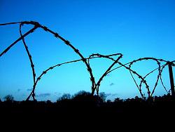 �� ������ �������: ���������� ������������ ��������� ���������� �������-����������