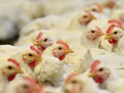 � ������ ���������� 230 ����� ��� ����� ��������� ������ �������� ������