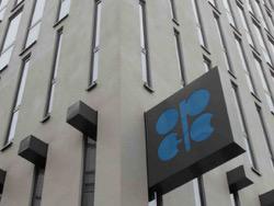 ���� ������ ����? � ���� �������� �������� �������