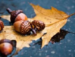 ���������� ���������� �� ���� ������������ ��� � ��� ������ ��� ������ �����?