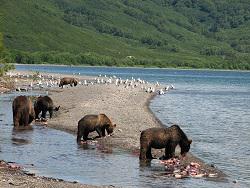 ������ ������� ������ �� �������