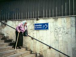 ������ ����������� �� ���������� �������: 3 ����� ��������� �����������