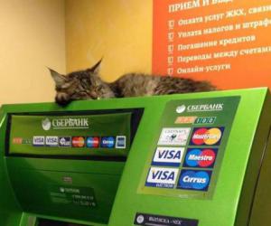 ����� �� ������� ������ �� ������