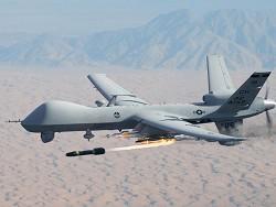      Predator   Reaper