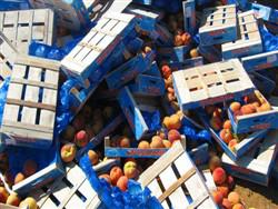 ������� �������� ���������� ����� ����������������� �������