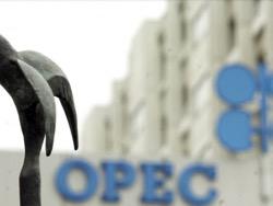 �����-2016: ���� ���� � ����� �� �������