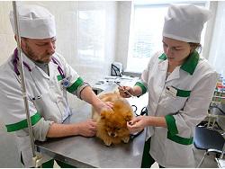 ������������� ����������� �� �����