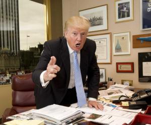 ������ ������� ������� ������� ���� ��������