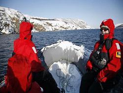 �������� ����������� ������ �� �������