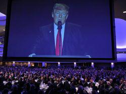 ��� ���������� ������